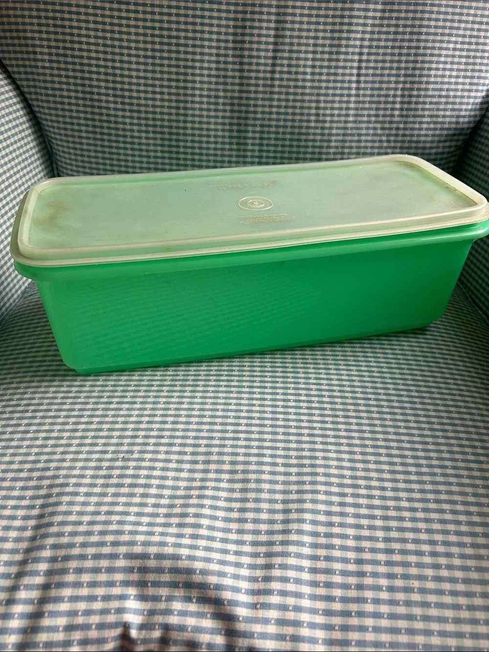 Vintage Tupperware celery keeper